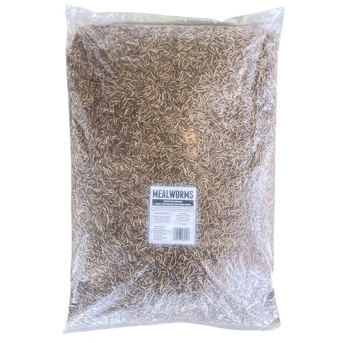 Flock Fest Dried Mealworm - 10 lb.