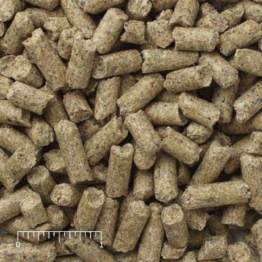 Mazuri Llama Chews Pellets 50lb