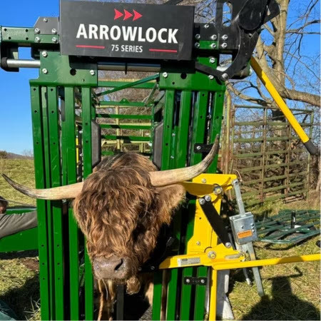 Cattle Head Holder AL-940L