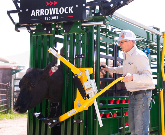 Cattle Head Holder AL-940L