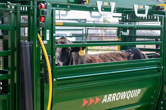 Arrow 8' Easy Flow Elite Alley 800-EF8