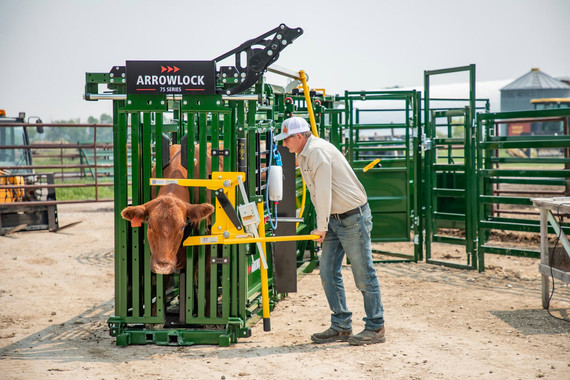 Arrowlock 75 Series Squeeze Chute