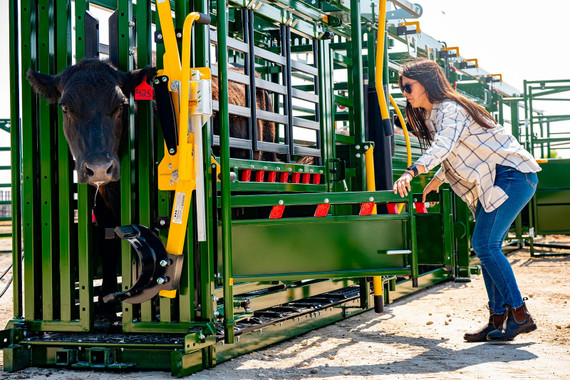 Arrowlock 88 Series Cattle Squeeze Chute 8800LV
