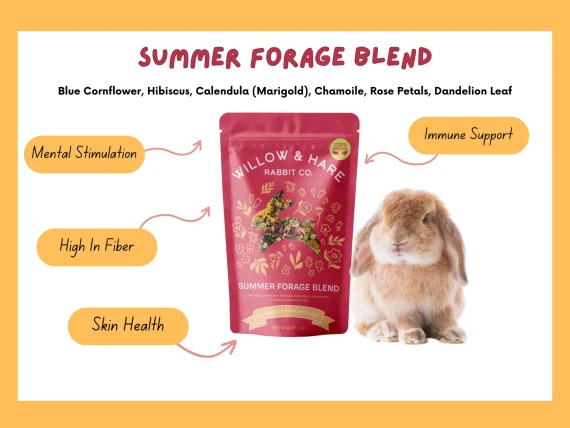 Willow & Hare Forage Blends
