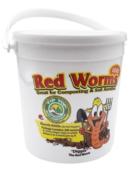 Red Worms in Pail 200ct