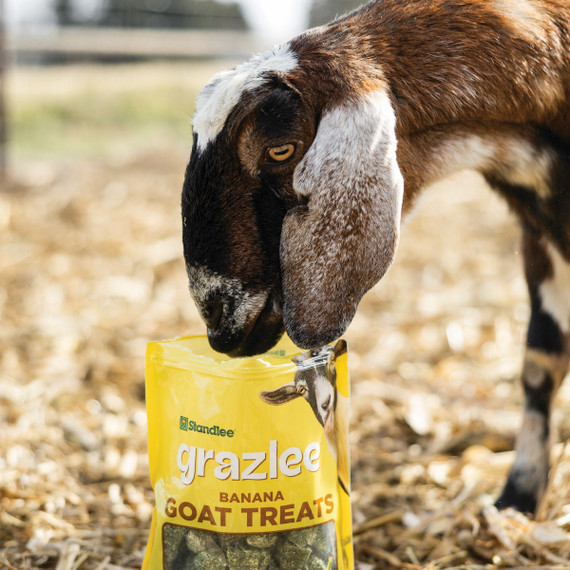 Grazlee Forage-Based Goat Treats, 3 lb. Bag