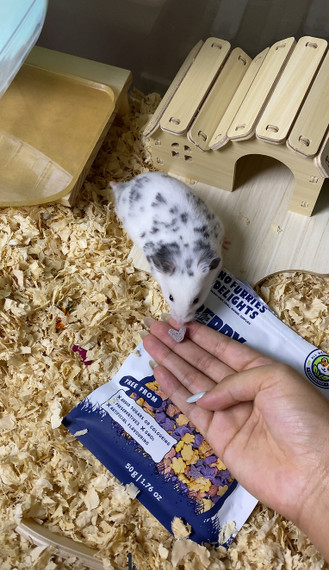 No Furries Delights Berrylicious Bites 1.76oz