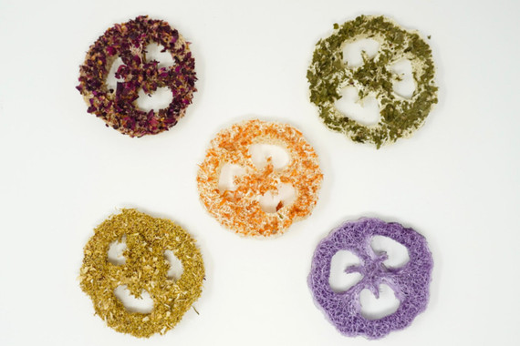 No Furries Delights Flavored Loofah Variety 5pk