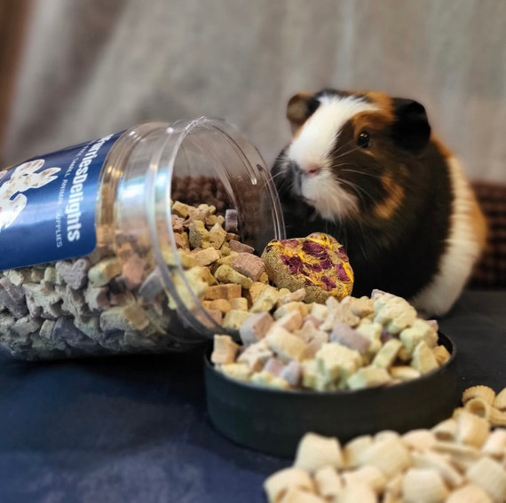 No Furries Delights Nature’s Bites 1.76oz