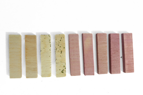No Furries Delights Tri-Flavored Balsa Blocks 6pcs