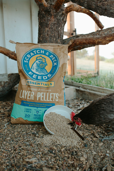 Scratch & Peck Essentials Organic Layer Pellet 16% 35lb