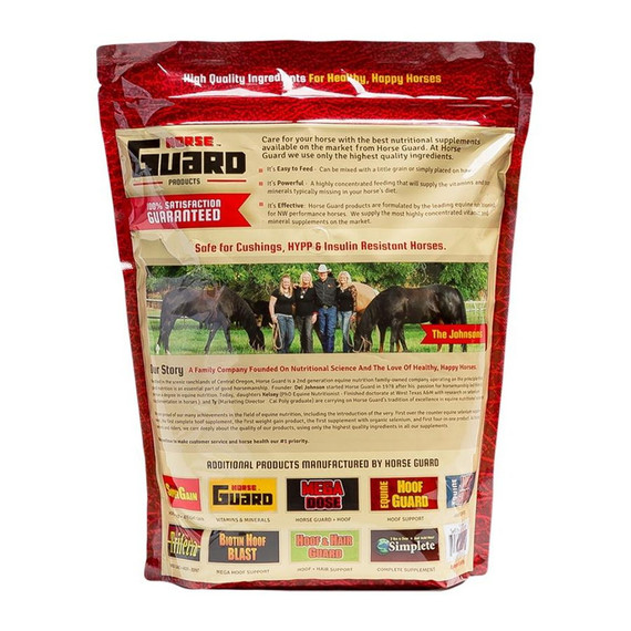 Horse Guard Equine Joint Guard for Horse - 10 lb