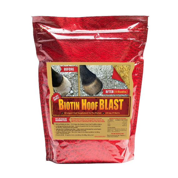 Horse Guard Biotin Hoof Blast Equine Supplement - 10 lb