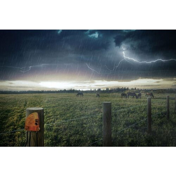 Gallagher Lightning Diverter - 100"