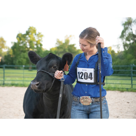Weaver Livestock Magic Show Halter - Medium - Black