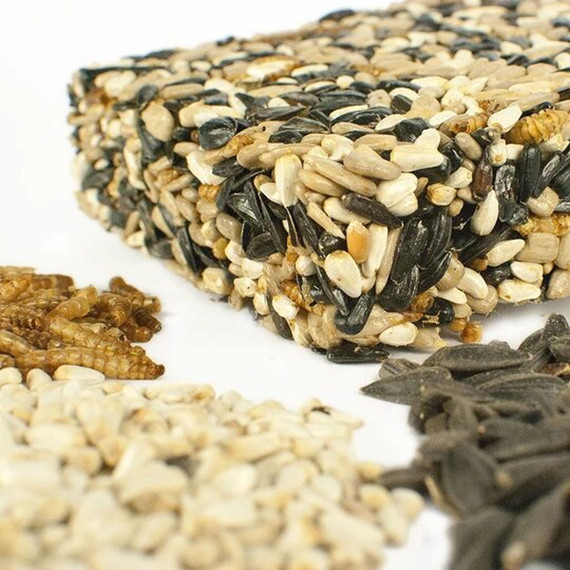 Happy Hen Treat Mealworm & Seeds Treat Square Poultry Treat - 6.5 oz