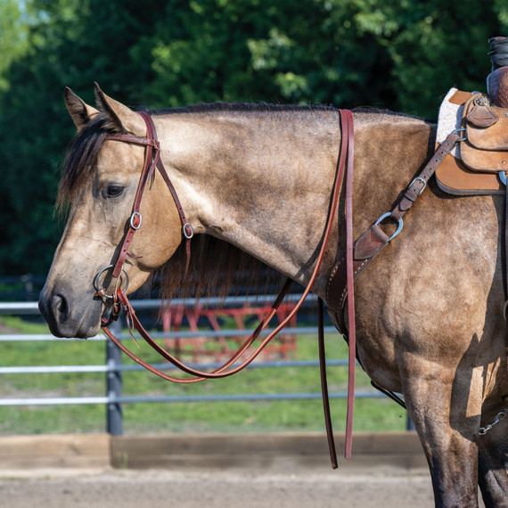 Weaver Leather Protack Oiled Extra Heavy Harness Split Rein - 5/8" X 8'