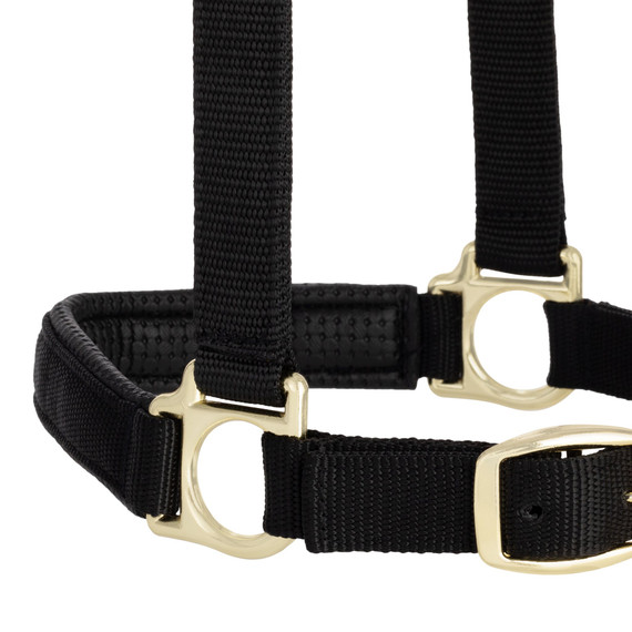 Weaver Leather Adjustable Chin and Throat Snap Halter - Average