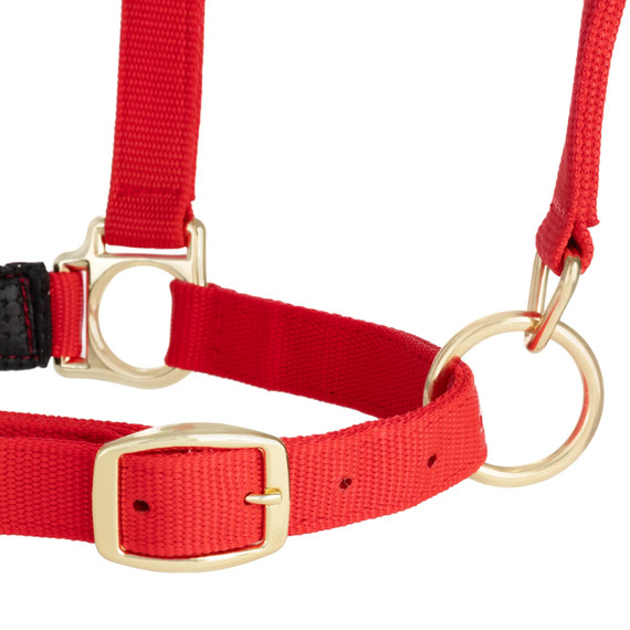 Weaver Leather Adjustable Chin and Throat Snap Halter - Average
