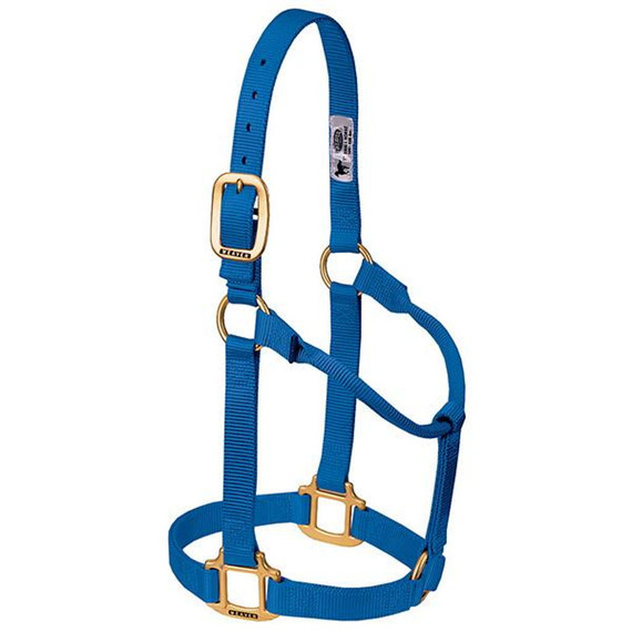 Weaver Leather 1" Original Non-adjustable Yearling Halter - Blue