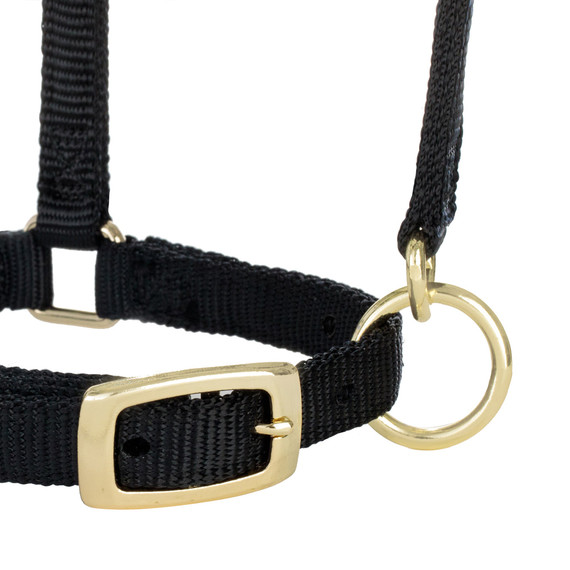 Weaver Leather Miniature Horse Adjustable Chin & Throat Snap Halter - Large