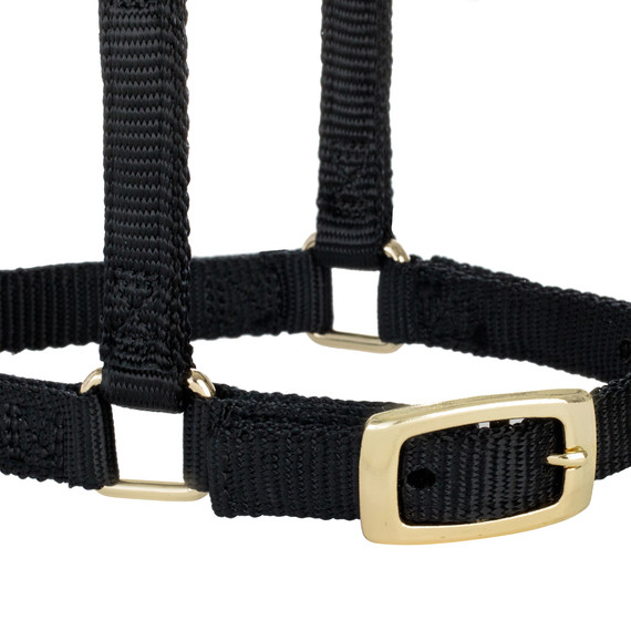 Weaver Leather Miniature Horse Adjustable Chin & Throat Snap Halter - Large