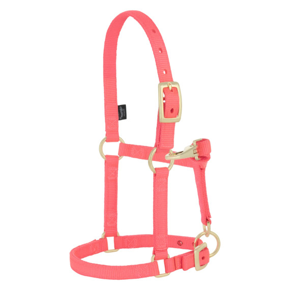Weaver Leather Miniature Horse Adjustable Chin & Throat Snap Halter - Large