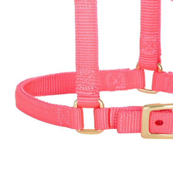 Weaver Leather Miniature Horse Adjustable Chin & Throat Snap Halter - Large