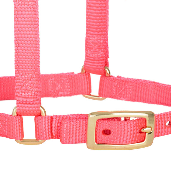 Weaver Leather Miniature Horse Adjustable Chin & Throat Snap Halter - Large