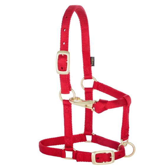 Weaver Leather Miniature Horse Adjustable Chin & Throat Snap Halter - Large