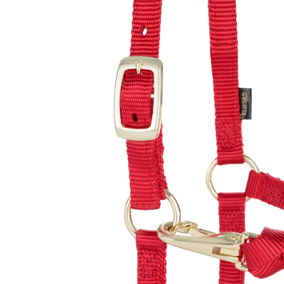 Weaver Leather Miniature Horse Adjustable Chin & Throat Snap Halter - Large