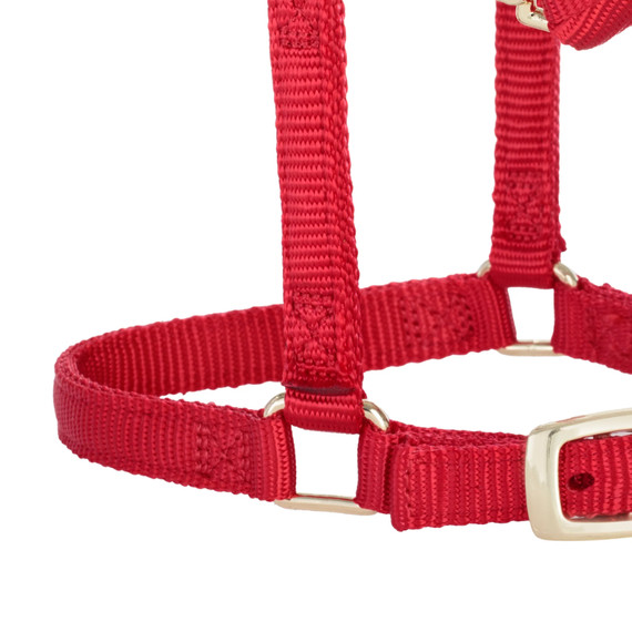 Weaver Leather Miniature Horse Adjustable Chin & Throat Snap Halter - Large