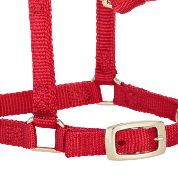Weaver Leather Miniature Horse Adjustable Chin & Throat Snap Halter - Large