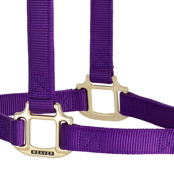 Weaver Equine Original Non-Adjustable Halter - Yearling