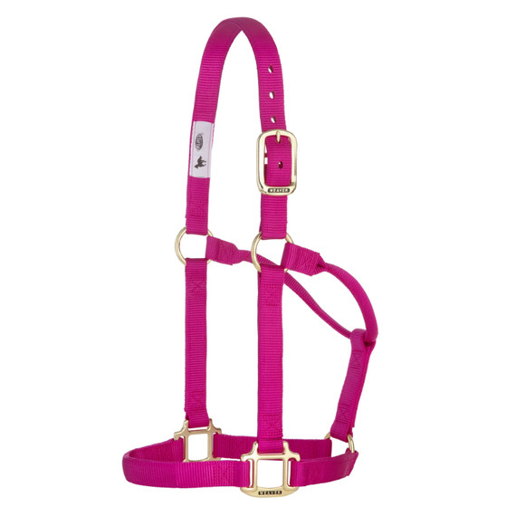 Weaver Equine Original Non-Adjustable Halter - Yearling