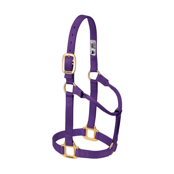 Weaver Leather Original Non-adjustable Average Halter - Nylon