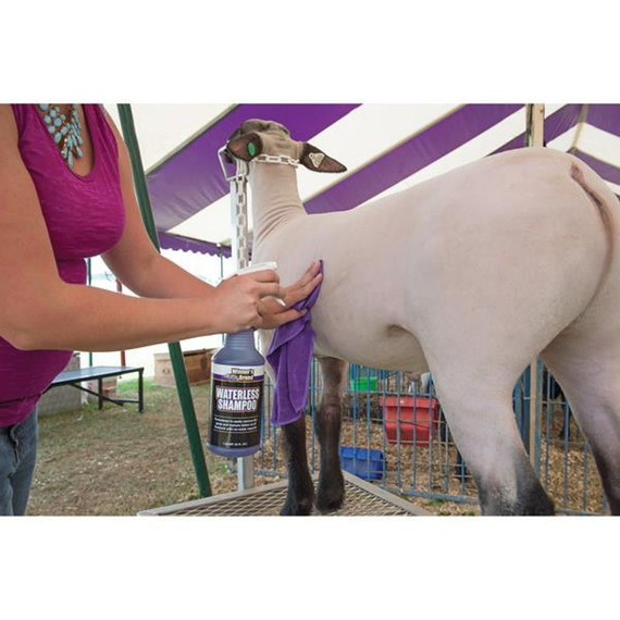 Weaver Leather Livestock Microfiber Towels - Purple