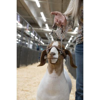 Weaver Leather Russet Brown Brahma Webb Goat & Sheep Halter - Large