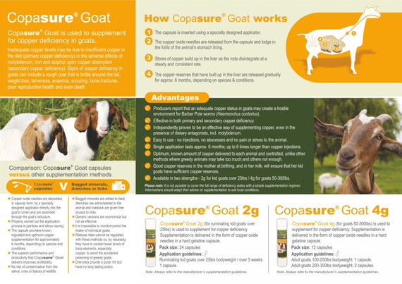 Animax 2 Gram Copasure Goat Supplement - 24 Capsules