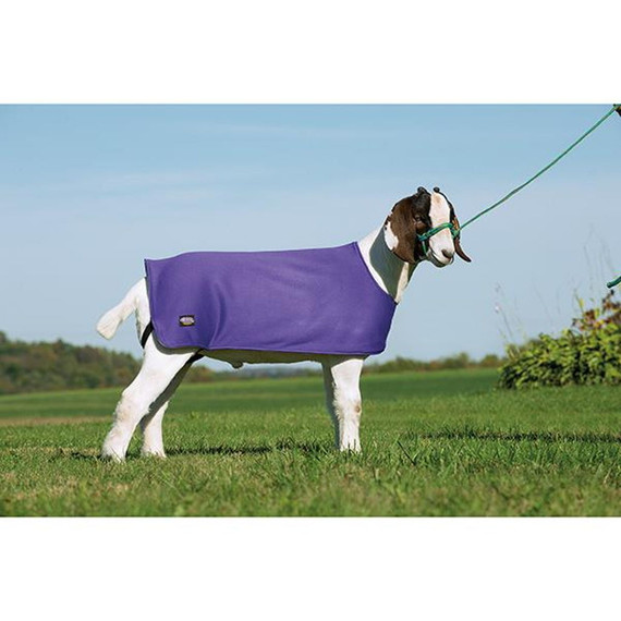 Weaver Leather Purple Sheep Underblanket - Large/Extra Large