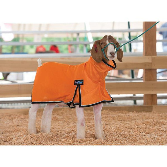 Weaver Leather Large Procool Goat Blanket With Reflective Piping - Orange