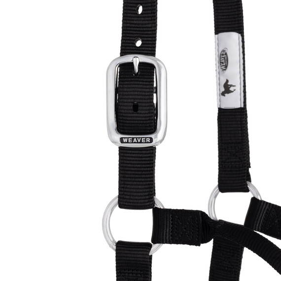 Weaver Leather Chrome Plated Non-Adjustable Nylon Halter - Average