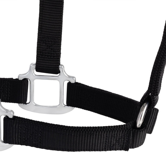 Weaver Leather Chrome Plated Non-Adjustable Nylon Halter - Average