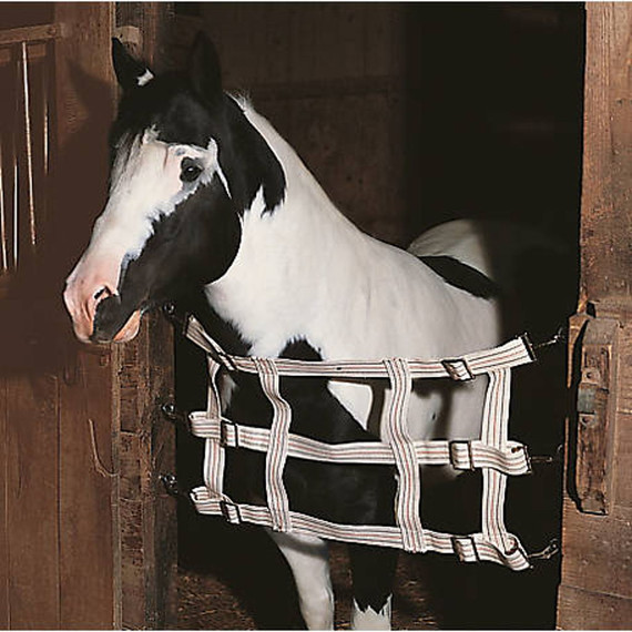 Weaver Leather Cotton Webbing Stall Guard - Natural