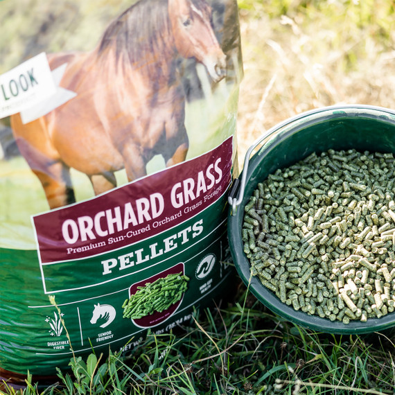 Standlee Premium Western Forage Orchard Grass Pellets - 40 lb