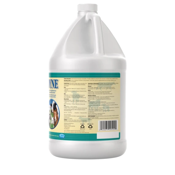 Dyne High Calorie Liquid Nutritional Supplement for Livestock