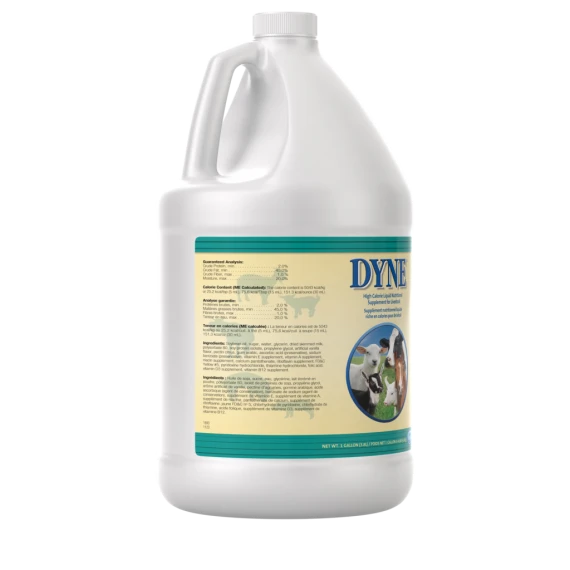 Dyne High Calorie Liquid Nutritional Supplement for Livestock