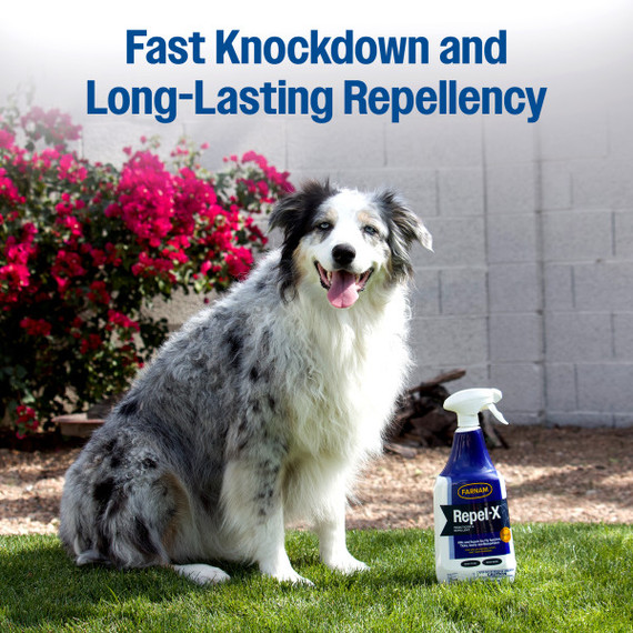 Farnam Repel-X Insecticide & Repellent 32 fl oz Spray
