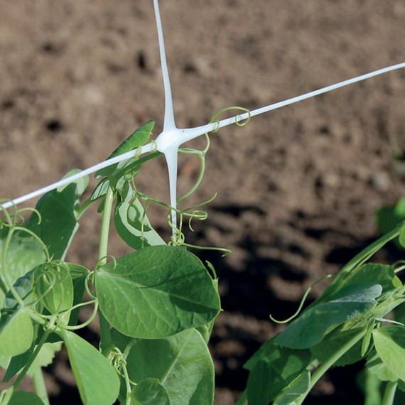 Hortonova White Trellis Net - 79" X 328'