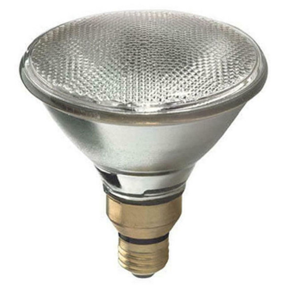 Westpointe Par38 Standard Halogen Flood Light Bulb - 60 W